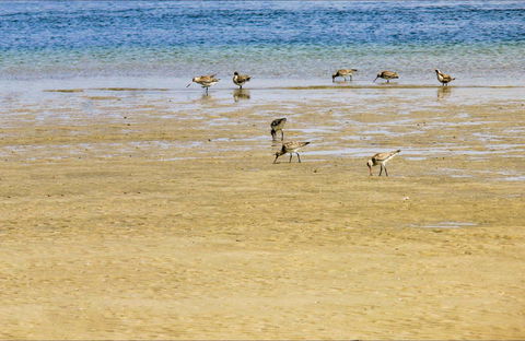 Towra Beach - Accommodation Bookings 0