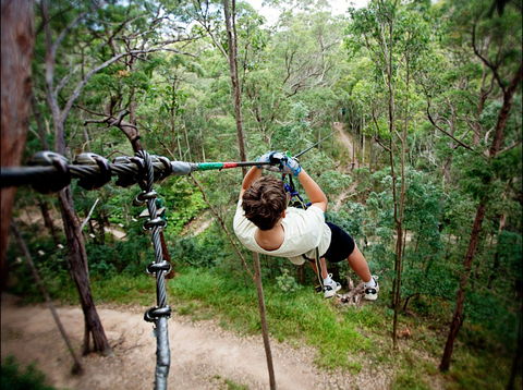 TreeTop Challenge - Accommodation Bookings 0