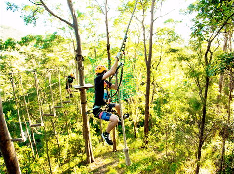 TreeTop Challenge - Accommodation Bookings 1