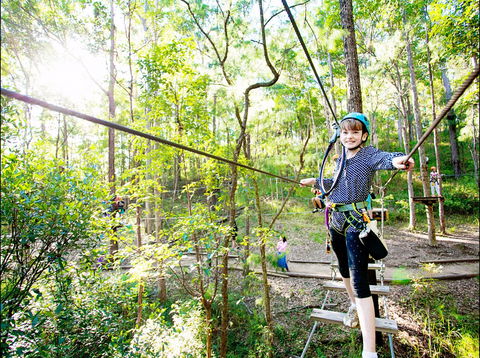 TreeTop Challenge - Accommodation Bookings 2