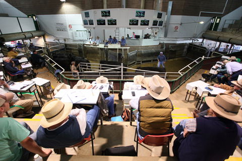 Wagga Wagga Livestock Marketing Centre - Accommodation Bookings 2