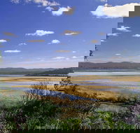 Wallagoot Lake Picnic Area and Boat Ramp - Accommodation Bookings