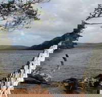 Walpole-Nornalup Inlet - Accommodation Bookings