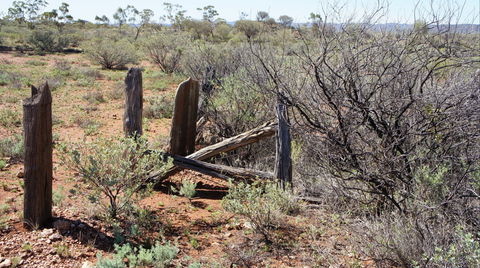 Winnecke Goldfield Cemetery - Accommodation Bookings 2