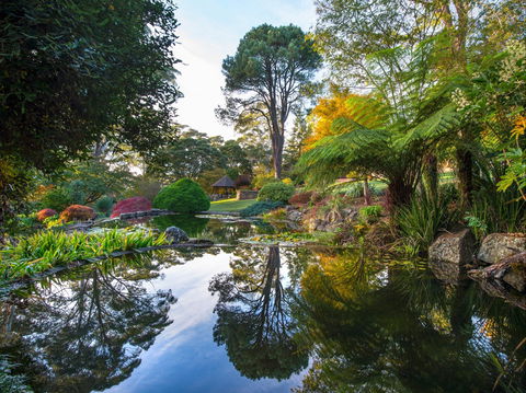 Windyridge Garden Mount Wilson - Accommodation Bookings 1