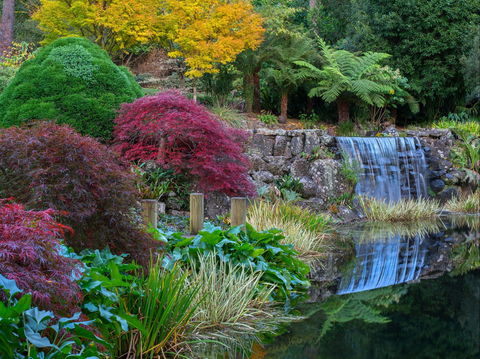 Windyridge Garden Mount Wilson - Accommodation Bookings 2