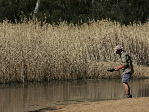 Wooldridge Recreation And Fossicking Reserve - Accommodation Bookings 2
