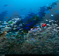 Aarhus Dive Site - Accommodation Bookings