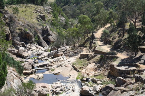 Adelong Falls Gold Mill Ruins - Accommodation Bookings 1