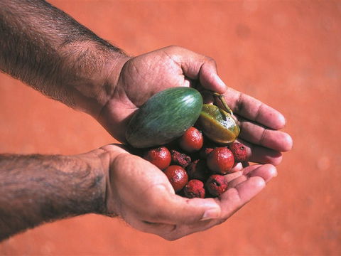 Alice Springs And Surrounds - Accommodation Bookings 1