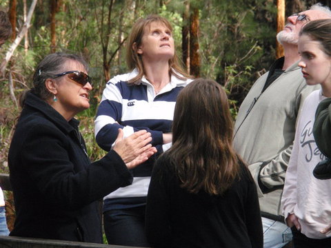 Ancient Empire Walk, Valley Of The Giants - Accommodation Bookings 1