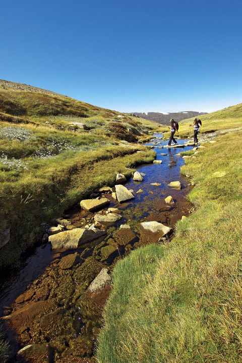 Australian Alps Walking Track - Accommodation Bookings 0