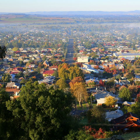 Bellevue Hill Reserve - Accommodation Bookings 1