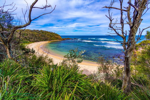 Bendalong (Inyadda) Beach - Accommodation Bookings 0