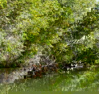 Berry Springs Nature Park - Accommodation Bookings