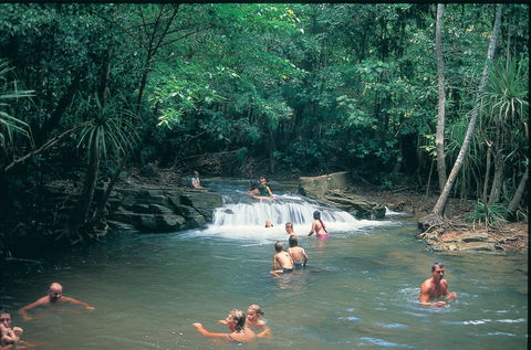 Berry Springs Nature Park - Accommodation Bookings 1
