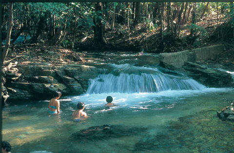 Berry Springs Nature Park - Accommodation Bookings 2