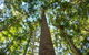 Big Sky National Parks - thumb 0