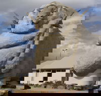 Big Merino - Accommodation Bookings
