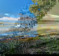 Black Oaks Picnic Area - Accommodation Bookings