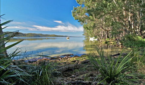 Black Oaks Picnic Area - Accommodation Bookings 0