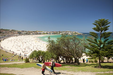 Bondi To Coogee Coastal Walk - Accommodation Bookings 0