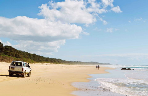 Bongil Bongil National Park - Accommodation Bookings 0