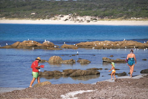 Bunker Bay - Accommodation Bookings 1