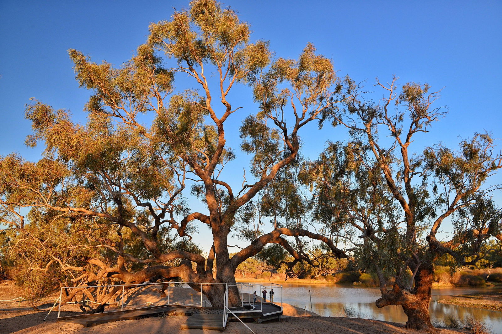 Durham Downs QLD Accommodation Bookings
