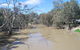 Bush Tucker Trail - thumb 0