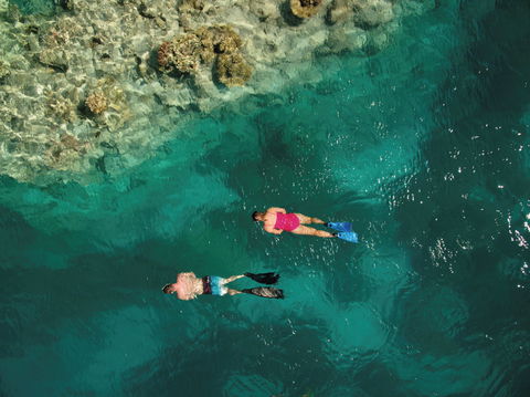 Capricornia Cays National Park - Accommodation Bookings 1