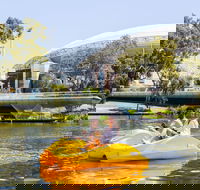 Captain Jolley's Paddle Boats - Accommodation Bookings