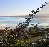 Cape Conran Coastal Park - Accommodation Bookings