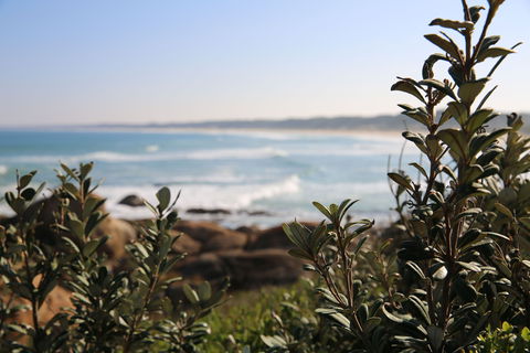 Cape Conran Coastal Park - Accommodation Bookings 0
