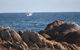 Cape Conran Coastal Park - thumb 1