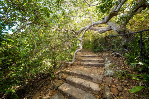 Capricorn Coast National Park - Accommodation Bookings 2