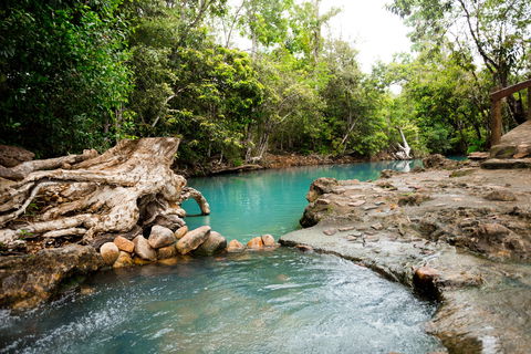 Cardwell Spa Pool - Accommodation Bookings 1