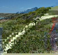Conjola Beach Picnic Area - Accommodation Bookings