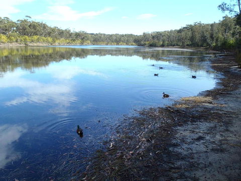 Conjola National Park - Accommodation Bookings 0