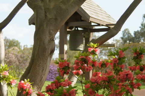 Cowra Japanese Garden And Cultural Centre - Accommodation Bookings 1
