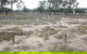 Culgoa Connellys Track - thumb 0