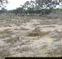 Culgoa Connellys Track - Accommodation Bookings