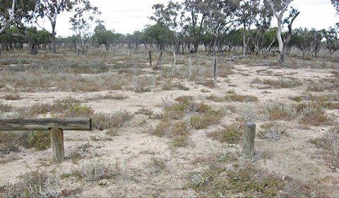 Culgoa Connellys Track - Accommodation Bookings 0