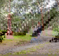 Currawong Bush Park - Accommodation Bookings