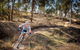 Cycle Mogo State Forest - thumb 0