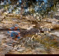 Cycle Mogo State Forest - Accommodation Bookings