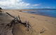 Edmund Kennedy, Girramay National Park - thumb 0