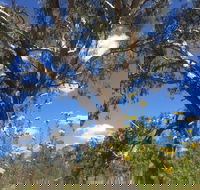 Euroa Arboretum - Accommodation Bookings