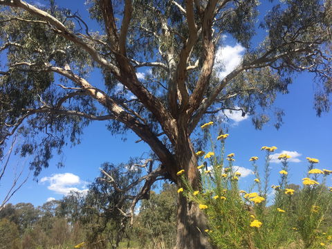 Euroa Arboretum - Accommodation Bookings 0