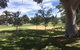 Federation Park Cobram - thumb 1